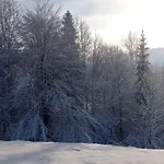 незабудка 3* Verkhne-Studeny