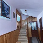 ゲストハウス незабудка