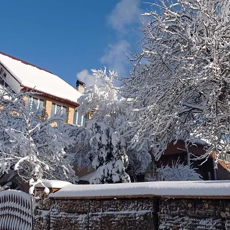 Guest house незабудка Verkhne-Studenyy