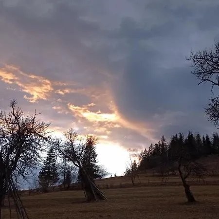 незабудка Guest house Verkhne-Studenyy