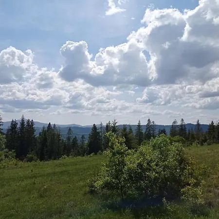 незабудка Guest house