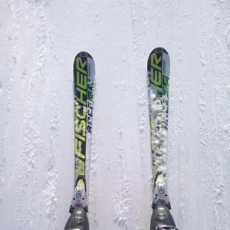 незабудка Гостевой дом 3*