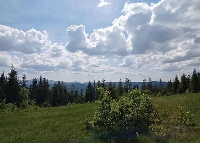 незабудка Gasthof