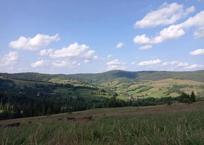 незабудка Gasthof Verkhne-Studenyy