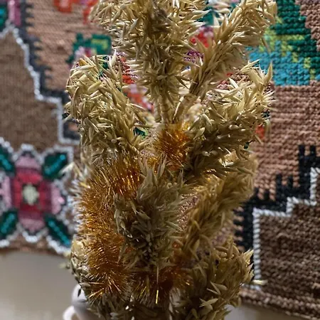 незабудка