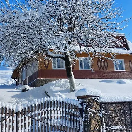 незабудка Verkhne-Studenyy